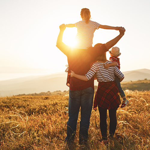 Family in a sunny field looking at the scenery